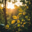 gentle melody mimics natural forest sounds