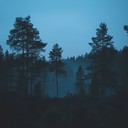 a creepy instrumental suomipop song echoing through dark finnish forests.