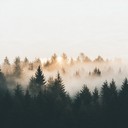 melodies resonate with deep forest calmness.