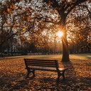 a gentle melody embracing fading light and falling leaves