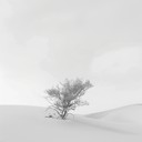 echoes of the sands