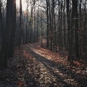 haunting rhythms among nature's melancholic decaying forest sounds