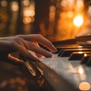 elegant piano chords under soft lighting