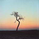 a somber instrumental metal track echoing fading light and sorrow