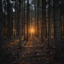 ethereal blend of diverse melancholic musical elements