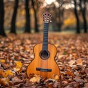 gently plucked guitar painting sorrowful bossa nova melodies