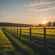 heartfelt guitar portraying rural tranquility