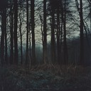 mysterious forest sounds creating an intense dark folk atmosphere.
