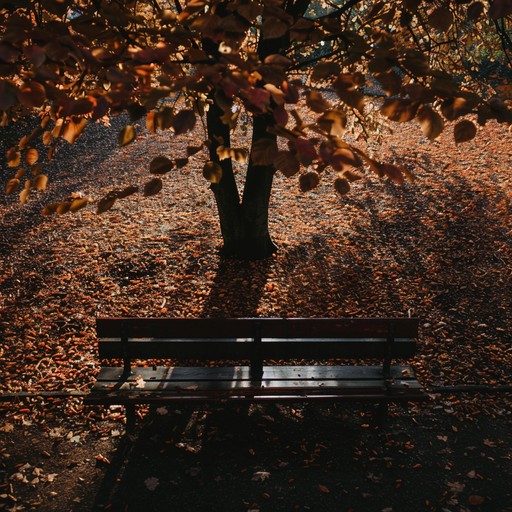 A soft, serene piece centered around intricate acoustic guitar, encapsulating the bittersweet beauty of autumn's end. Delicate harmonies and minimalist arrangements create a profound sense of emotional depth, ideal for quiet, thoughtful times