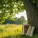 accordion plays melody over tranquil sounds