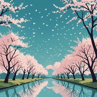 calm melody under blooming cherry blossoms