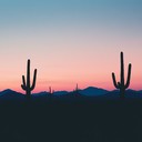 gentle guitar with soft, soothing western vibes