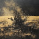 intense, dramatic confrontation in the desert landscape