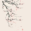 sweet melodic tune capturing fleeting cherry blossom beauty