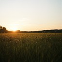 soft melodies capturing the quiet beauty of fading light