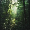 enigmatic harp echoes through mystical woods