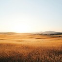 ambient harp melodies evoking joy and peace under sunbeams