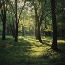 calm and rhythmic woodland stomp for relaxing walks