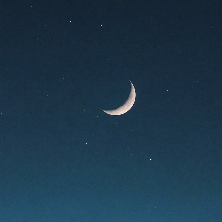 A sensual blend of slow, pulsating beats with a deep bass undertone, embodies the essence of a mysterious twilight hour where secrets are whispered under cover of darkness. The minimalistic yet profound arrangement invites the listener into a world of introspective solitude and serene contemplation.