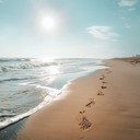 mellow and reflective samba evoking gentle bittersweet reminiscence