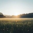 contemplative piano pieces evoking hope and inner peace