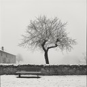 melancholic tenor saxophone draws the chill of solitude.