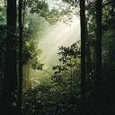 soothing sounds blend with natural rhythms