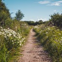 embody the leisureliness of a summer afternoon stroll