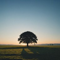 rustic melody meets dawn's serene embrace.