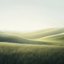 a calming journey through peaceful, lush, and tranquil soundscapes