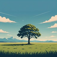 soft melodies under open sky