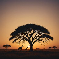 serene tones paint vast african landscapes