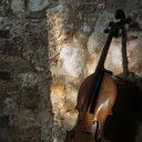 haunting cello leads an emotional journey through night shadows.