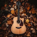 gentle acoustic guitar whispers through a calm evening