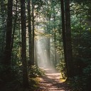 flowing melodies capturing essence of forest pathways beautifully