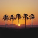 soft instrumental evoking mysterious journeys across endless deserts.