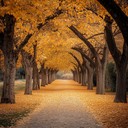 gentle instrumental capturing autumn's serene and peaceful beauty