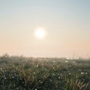 tranquil guitar playing reminiscent of early dewy mornings