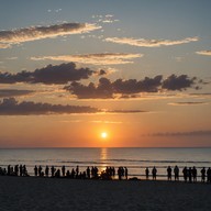 carefree melodies under twilight skies