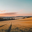 an elegant country instrumental capturing serene countryside at dusk