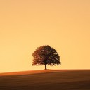 instrumental portraying quiet reflection in rural brazilian landscapes