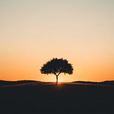 a serene orchestral piece evoking elegance and cinematic grandeur