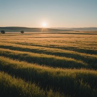 simple joyous tune, sunrise warmth, dancing in nature