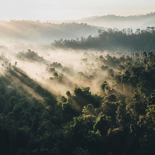 Imagine a scenic landscape where each flute note embodies a leaf swirling in the gentle morning wind, contributing to a picturesque auditory experience that brings peace and mental clarity.