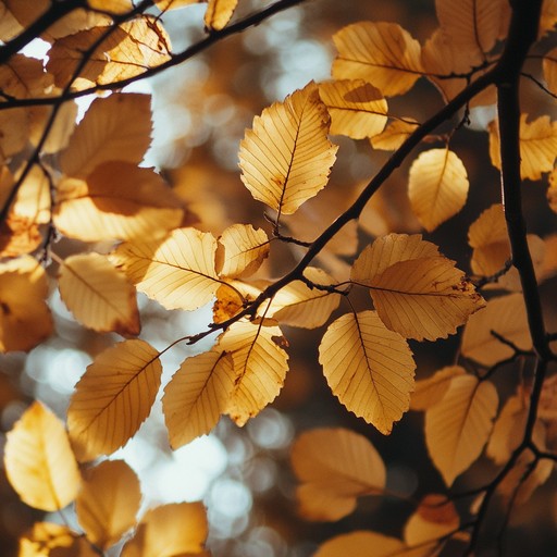 This gentle composition combines soft piano with delicate acoustic guitar, painting the serene picture of an autumn day filled with tranquility and warmth. It invites listeners to unwind and reflect amidst the softly falling leaves and golden light.