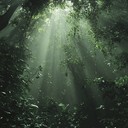 hypnotic rhythms with supernatural, pulsating, atmospheric basslines and textures