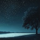 enchanting and soothing soundscape for peaceful nighttime reflections.