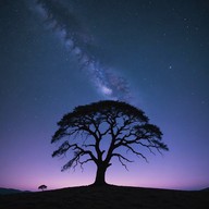 ethereal sounds meet timeless traditional melodies