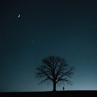 guitar echoes under a moonlit, desolate soundscape