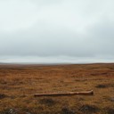 a lonely violin weeps in a desolate mountain landscape.